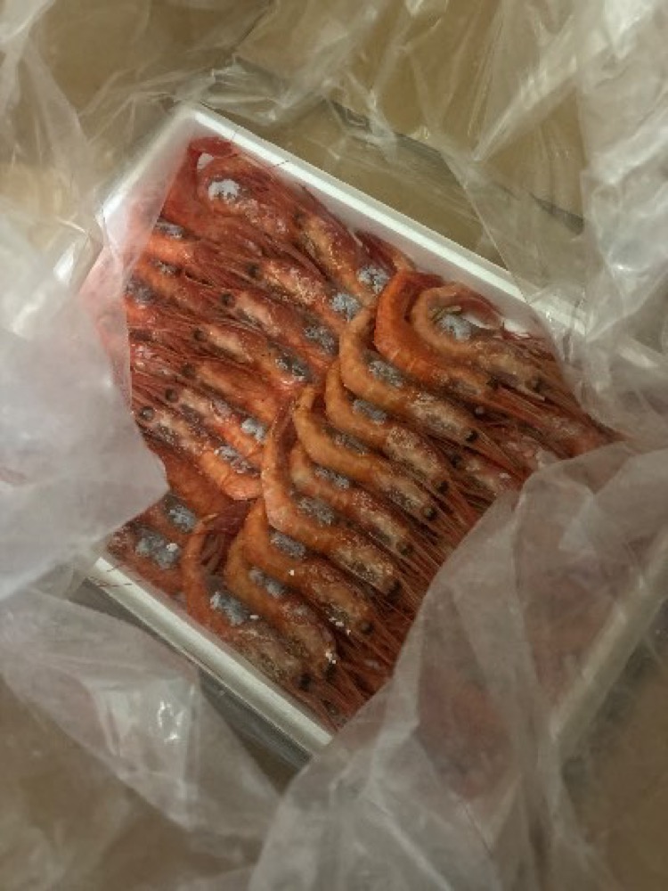 トレーに並んだ冷凍エビの現物